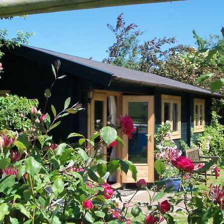 וולס Pet Friendly - Hikers Paradise - South Facing מראה חיצוני תמונה